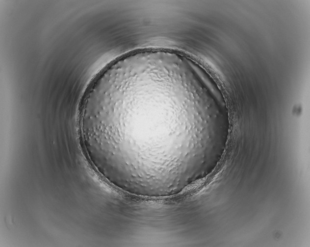 X0000093530990200710261247