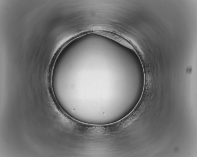 X0000093530991200710261247