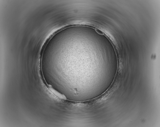 X0000093530992200710261247