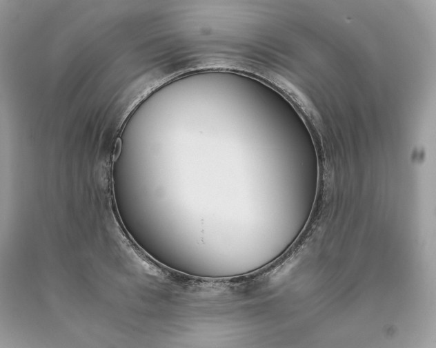 X0000093530993200710261247