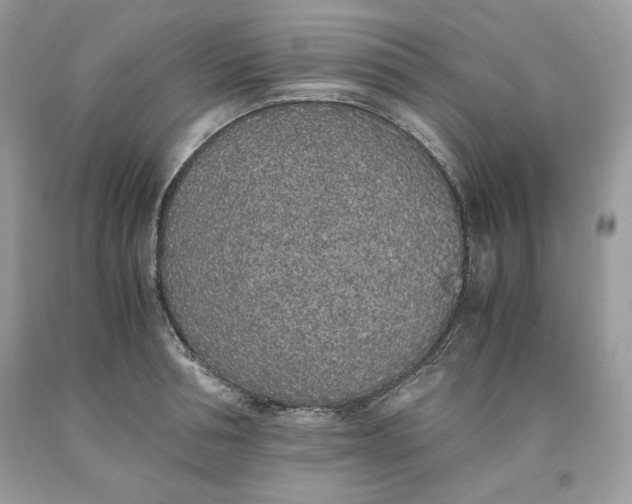 X0000093530994200710261247