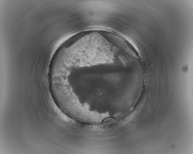 X0000093530995200710261247