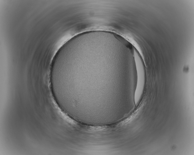 X0000093530997200710261247