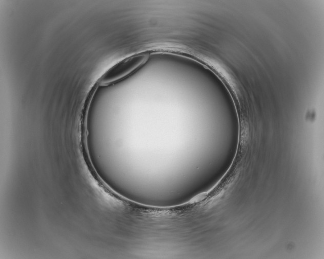 X0000093530999200710261247