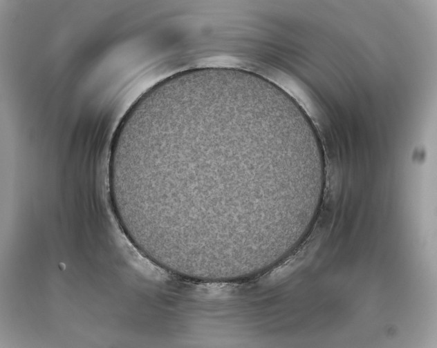 X0000093531000200710261247