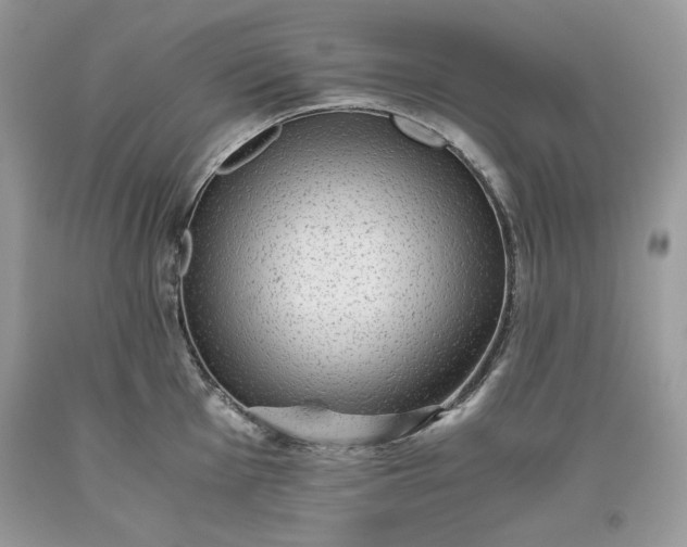 X0000093531001200710261247