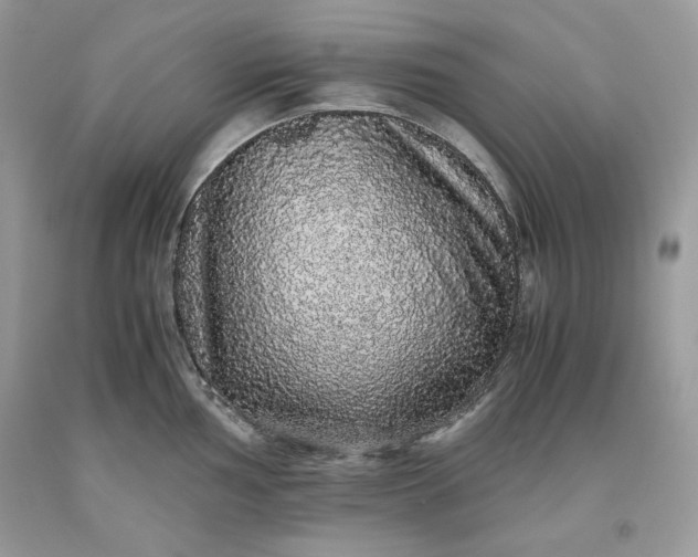 X0000093531002200710261247