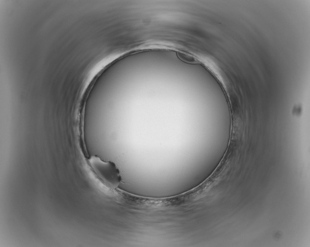 X0000093531003200710261247