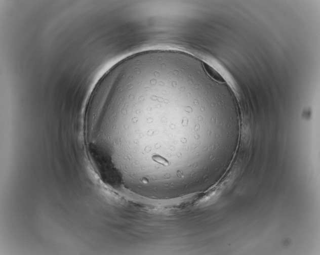 X0000093531004200710261247