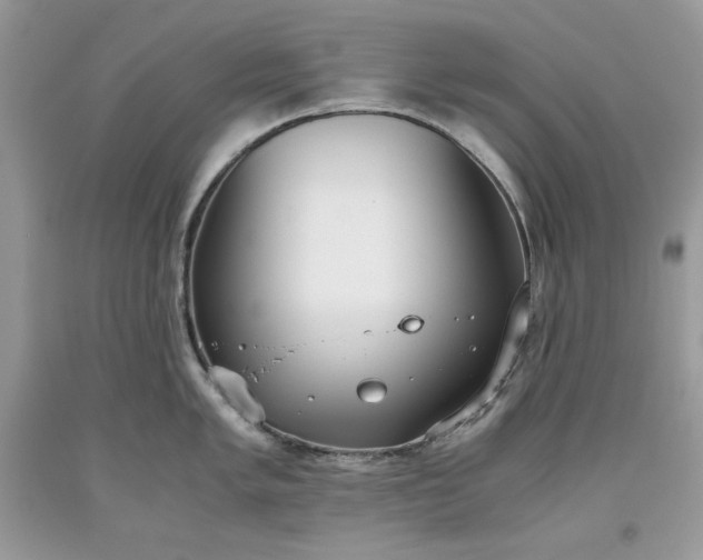 X0000093531005200710261247