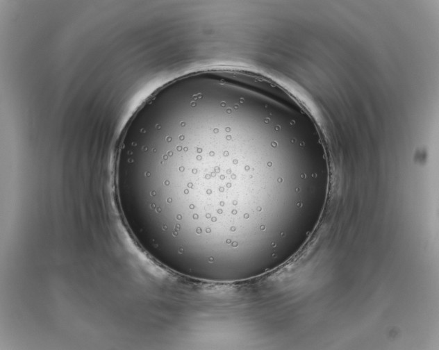 X0000093531006200710261247