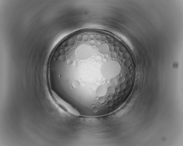 X0000093531007200710261247