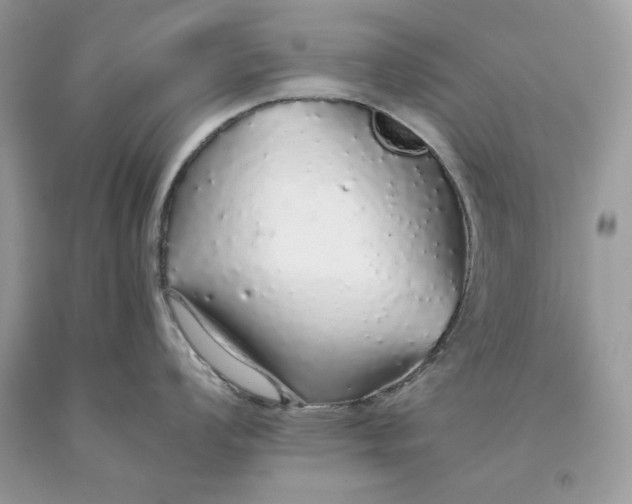 X0000093531008200710261247