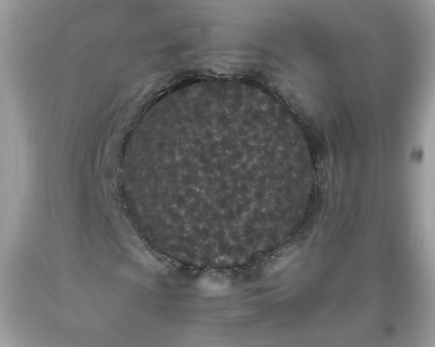 X0000093531009200710261246