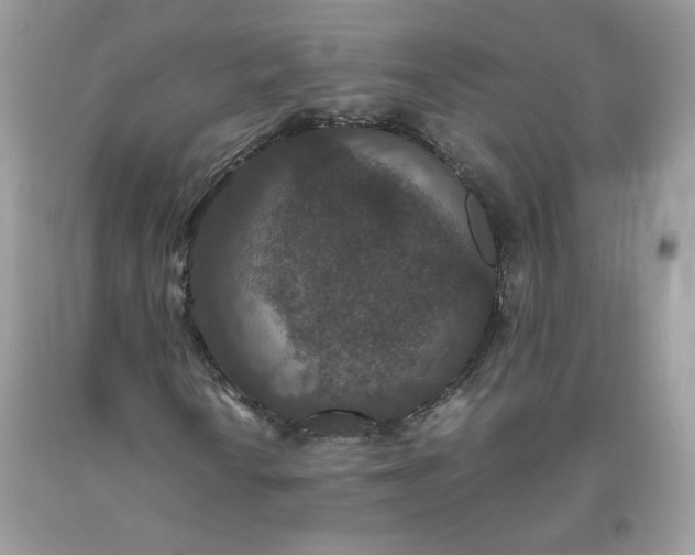 X0000093531010200710261246