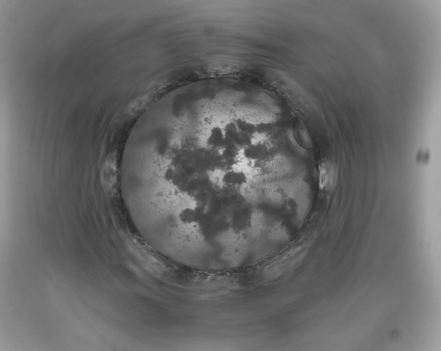 X0000093531011200710261246