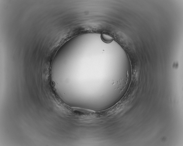 X0000093531012200710261246