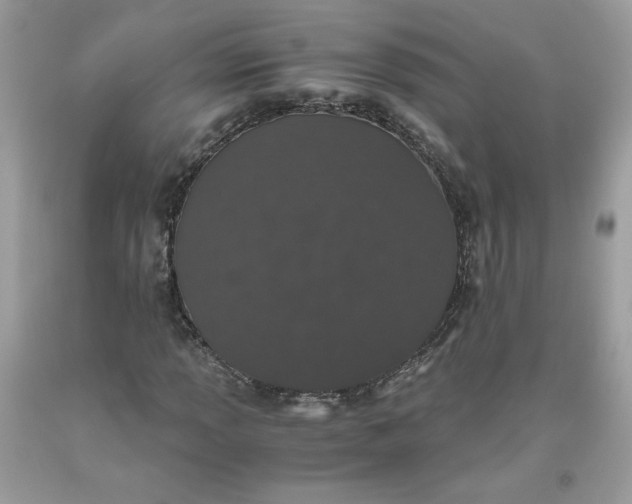 X0000093531013200710261246