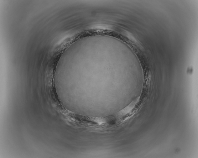 X0000093531014200710261246