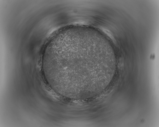 X0000093531015200710261246