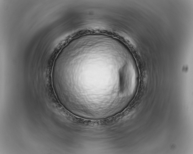 X0000093531016200710261246