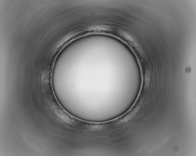 X0000093531017200710261246