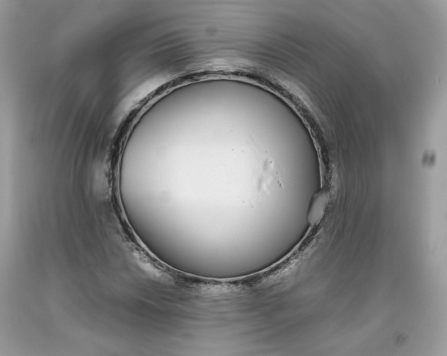 X0000093531018200710261246