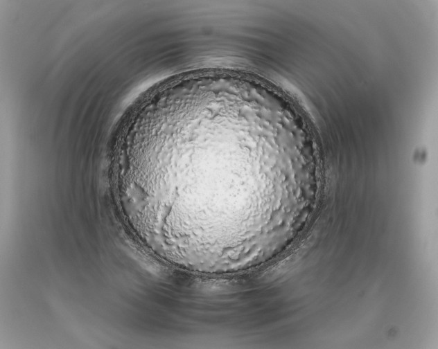 X0000093531019200710261246