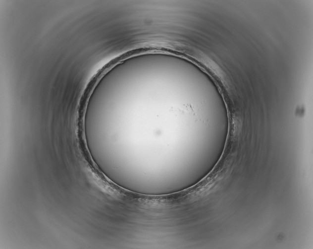 X0000093531020200710261246