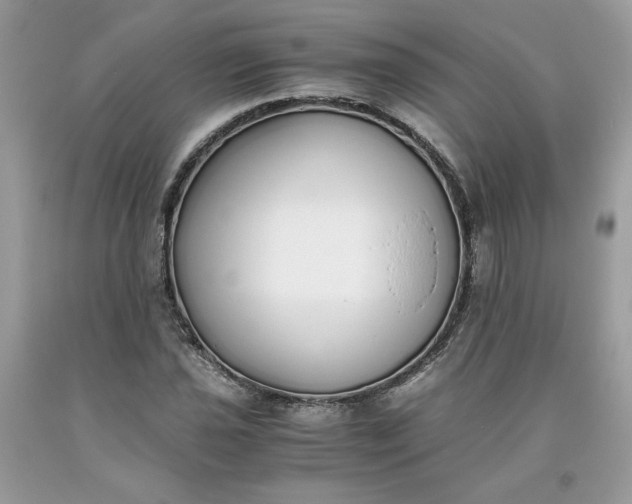 X0000093531021200710261246