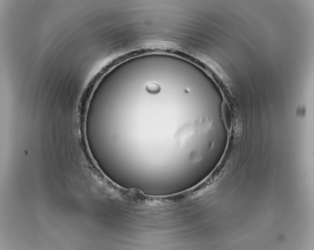 X0000093531022200710261246