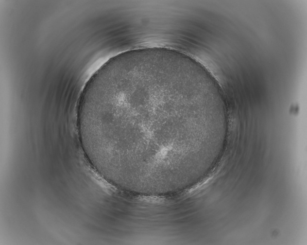 X0000093531023200710261246