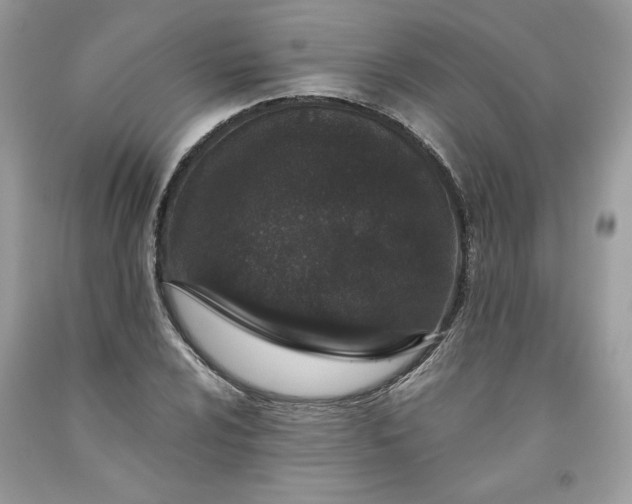 X0000093531024200710261246