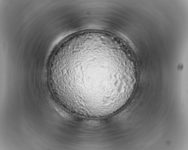 X0000093531027200710261246