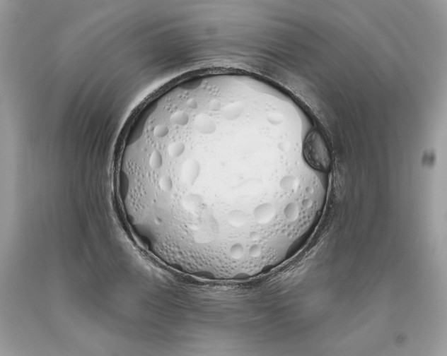 X0000093531028200710261246