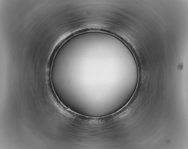 X0000093531029200710261247