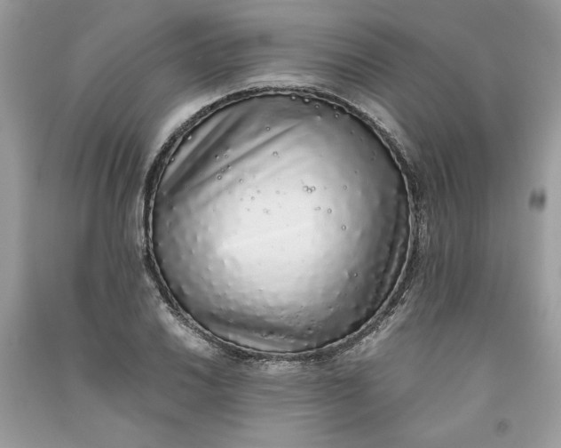 X0000093531030200710261247