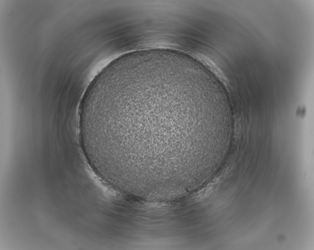 X0000093531031200710261247