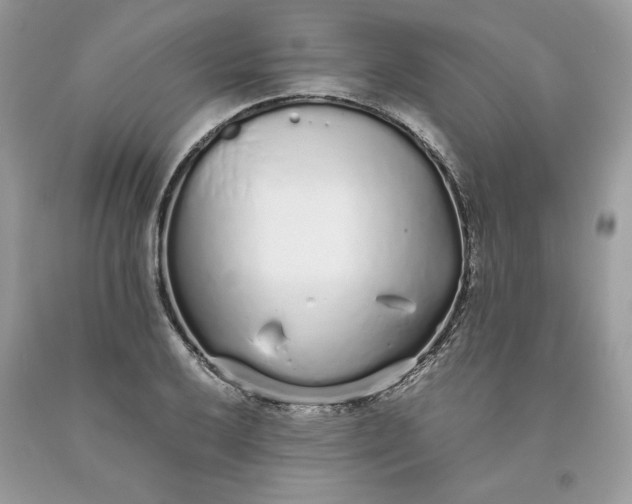 X0000093531032200710261247