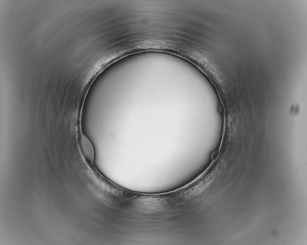 X0000093531033200710261247