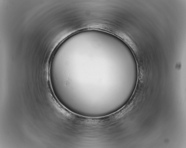 X0000093531036200710261247