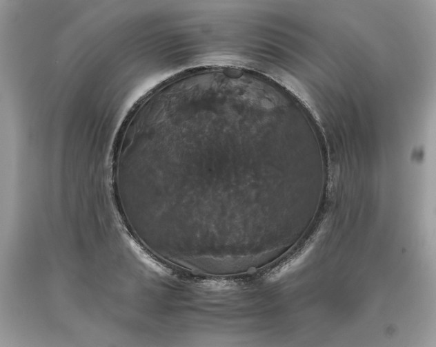 X0000093531037200710261247