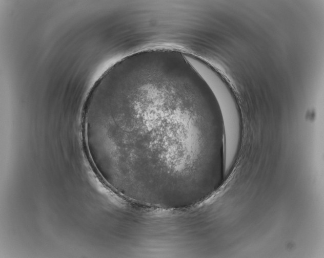 X0000093531038200710261247