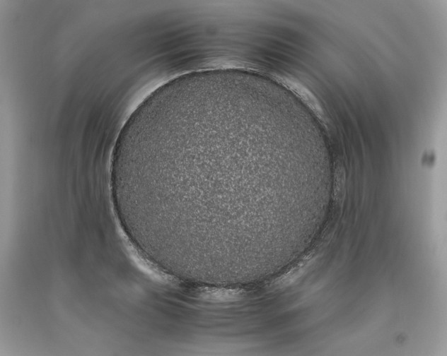 X0000093531039200710261247