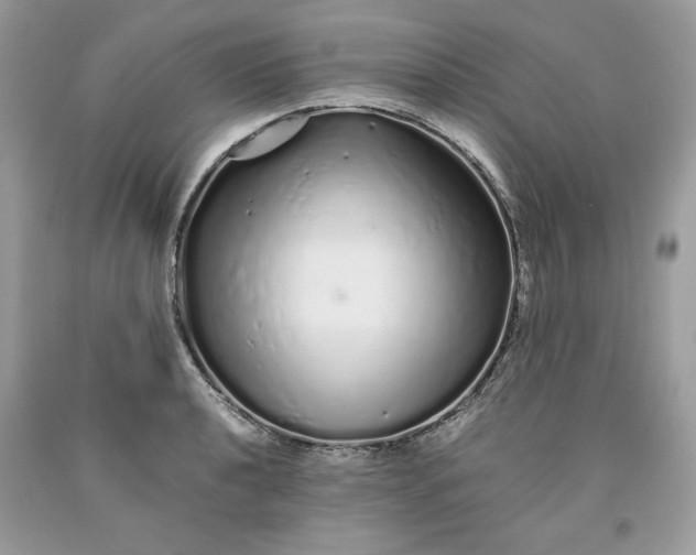 X0000093531040200710261247