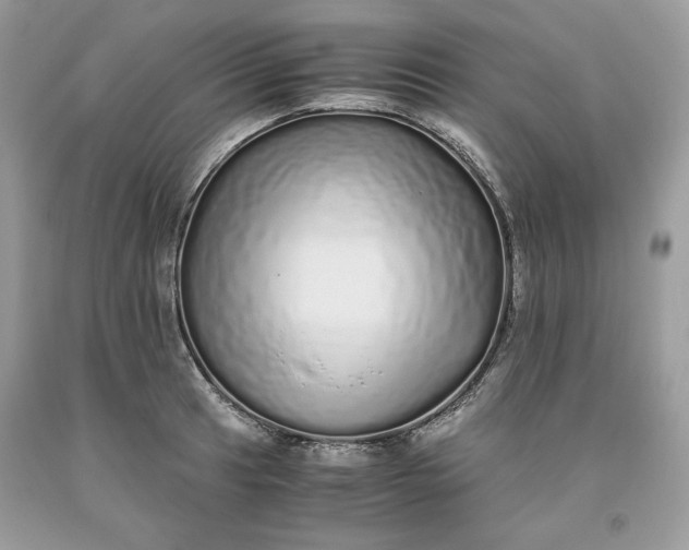 X0000093531041200710261247