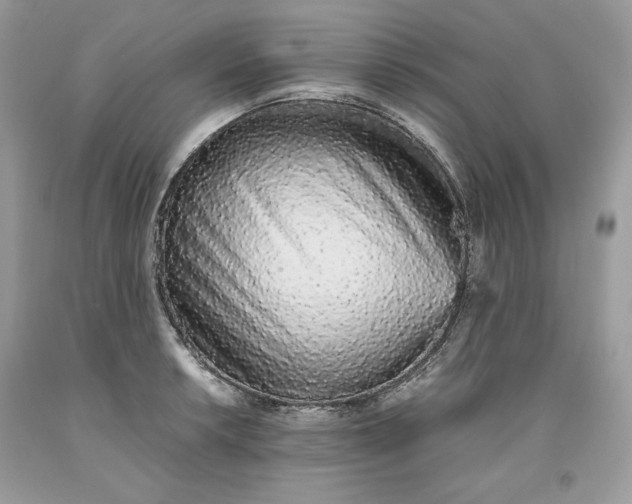 X0000093531042200710261247