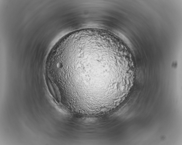 X0000093531043200710261247