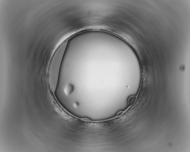 X0000093531044200710261247