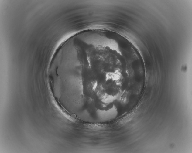 X0000093531045200710261247